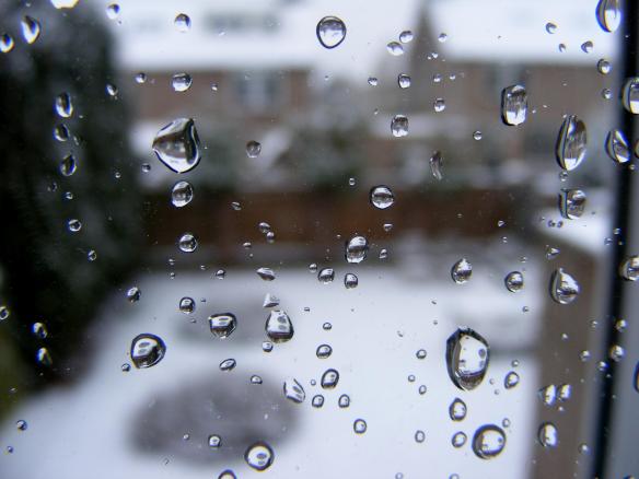 window