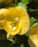 img_9980