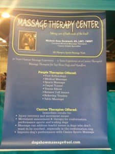 Massage Therapy