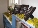 Dandelions on the Bookcase