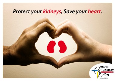 World kidney day