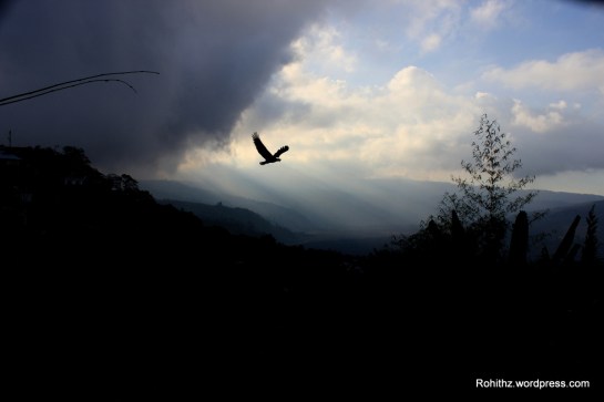 This is one of the finest captures in my trip.. A traveller without observation is a bird without wings.. :P