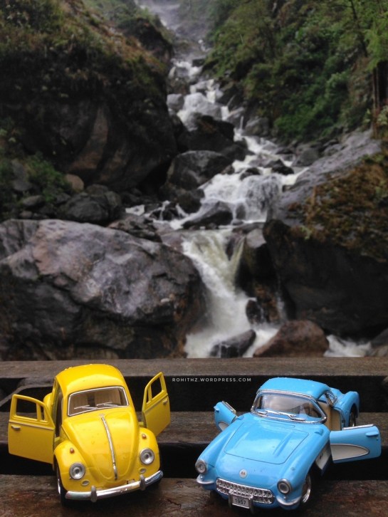 yellowie & vader feeling the waterfalls (2)
