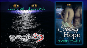 Stealing Hope Book Tour Banner