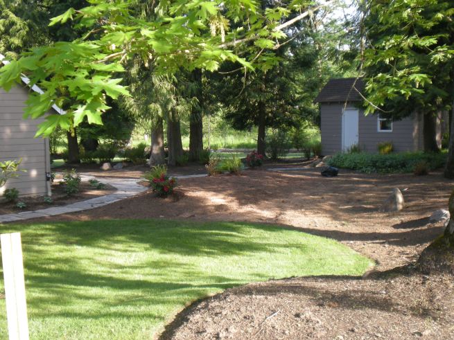 landscaping back side bed afters 002 more side and back planting bed afters