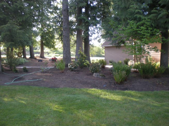 landscaping backyard planting bed afters 006 backyard planting bed