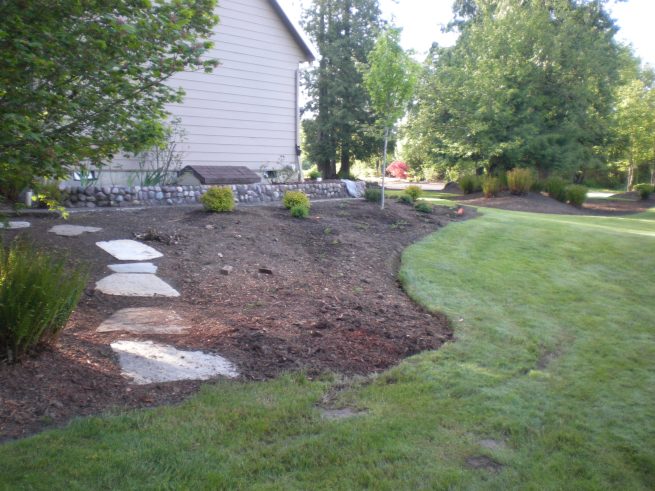 landscaping special front area afters 011 special front area after