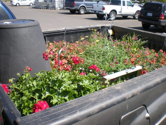 landscaping DECK PLANTS Here is my truck full of the plantings that will go in pots on my deck. I am working getting the deck to be an extension of my little landscaping kingdom