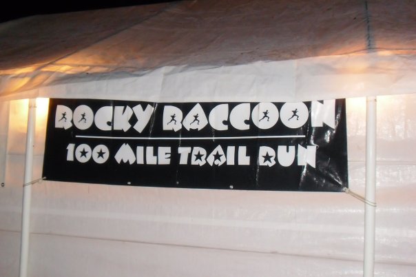 Rocky raccoon banner