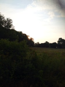 photo 1 (1)