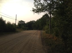 photo 1 (2)