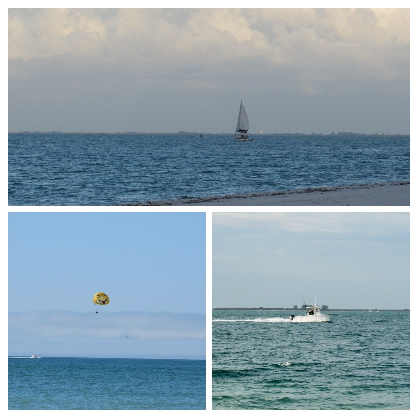 IMG_2902-COLLAGE