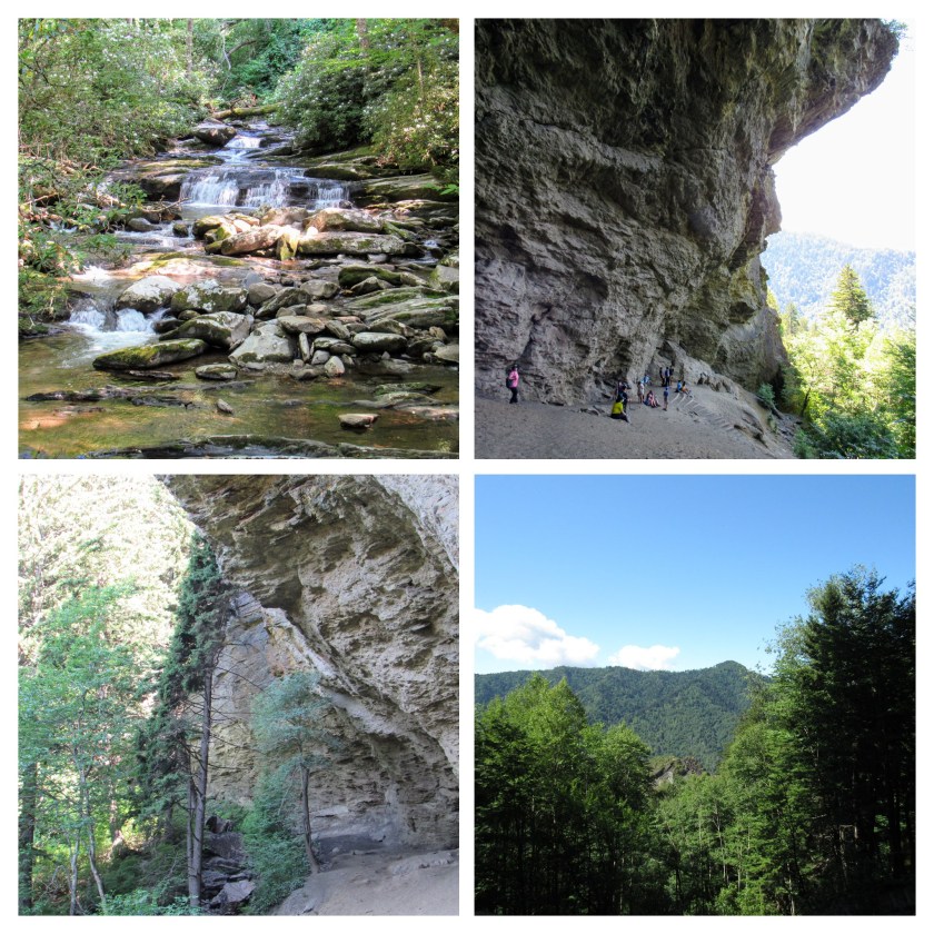 IMG_2909-COLLAGE