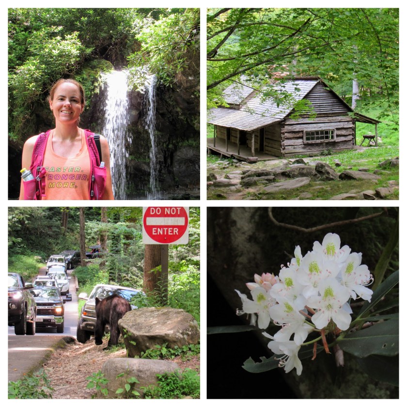 IMG_2923-COLLAGE