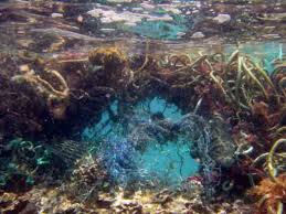 photo Ocean debris