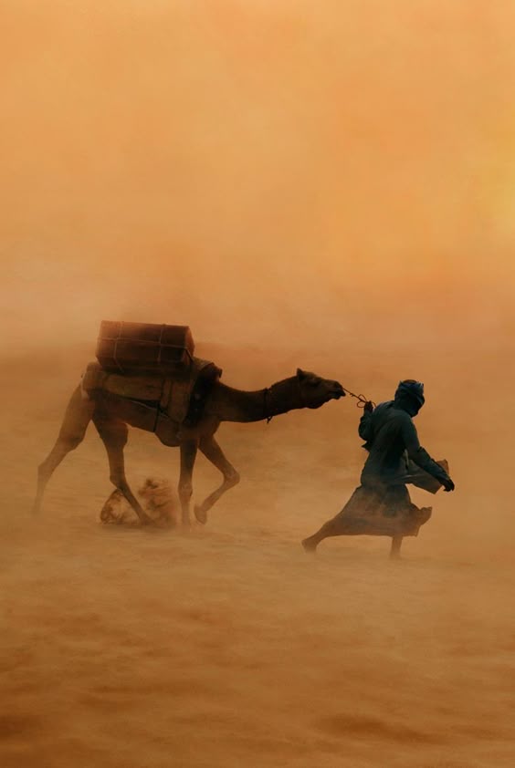 By Steve McCurry: