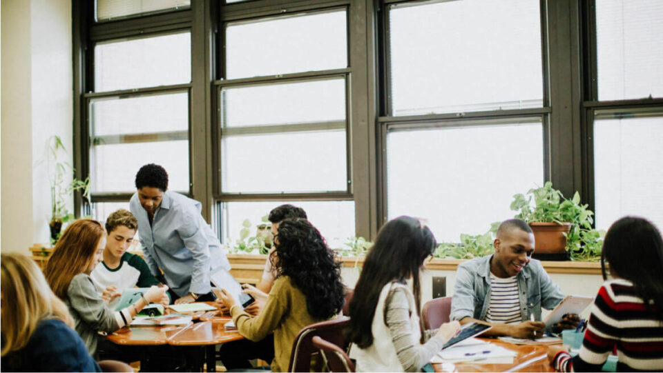 Professional development accordion 5 WF123456