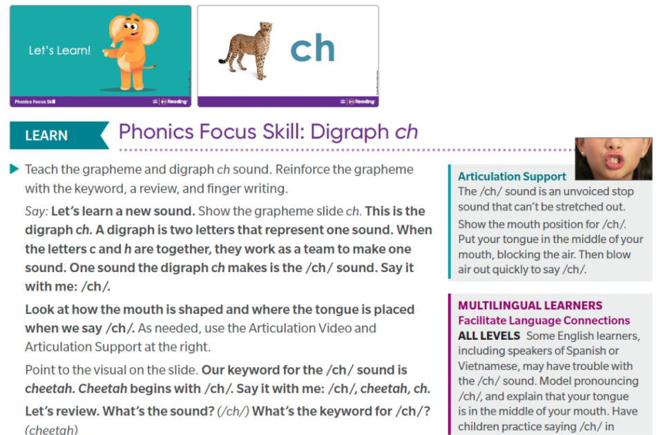 Card Grid 2 WF2147800