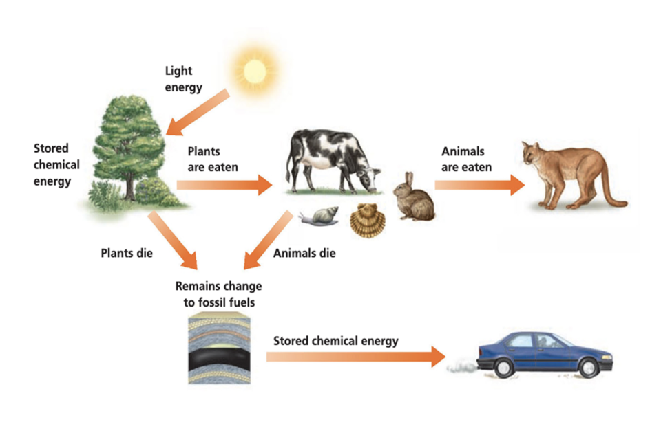 light-energy-infographic-WF2153136