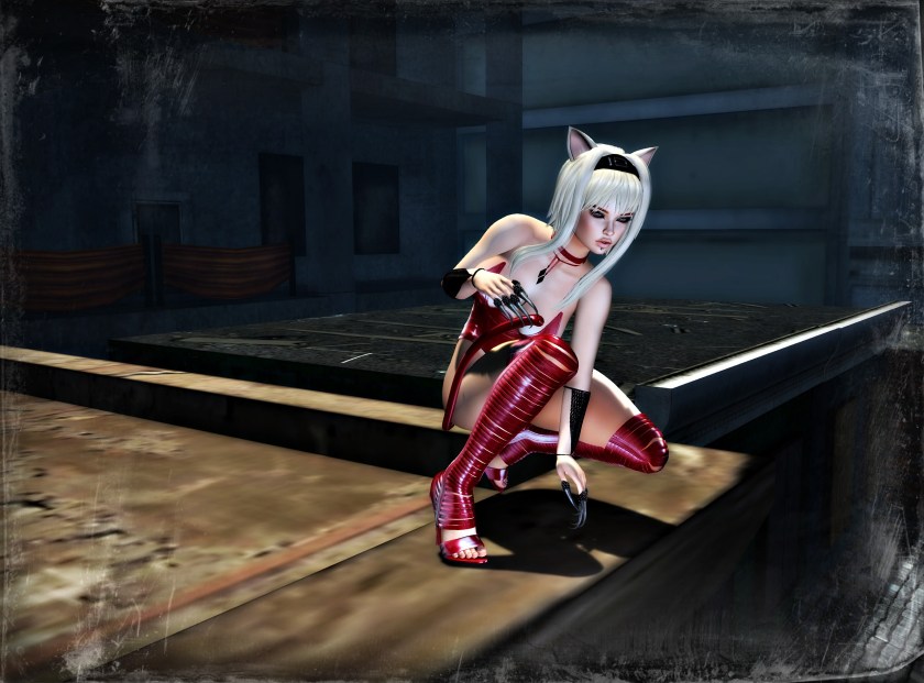 feline frisky roof top