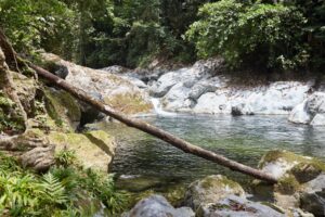 Pico Bonito National Park La Ceiba