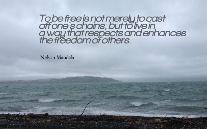 freedom1