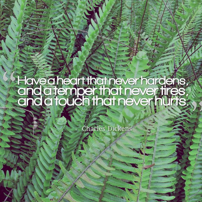have-a-heart-that-never-hardens