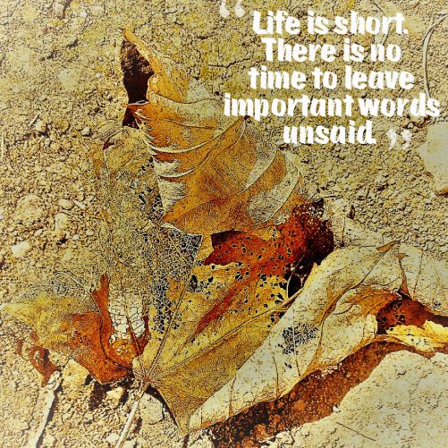Life is short