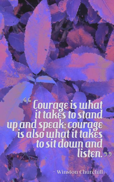 Courage is what it takes