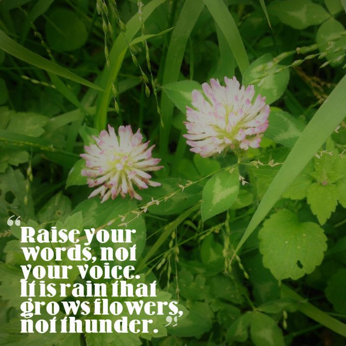 Raise your words, not your voice