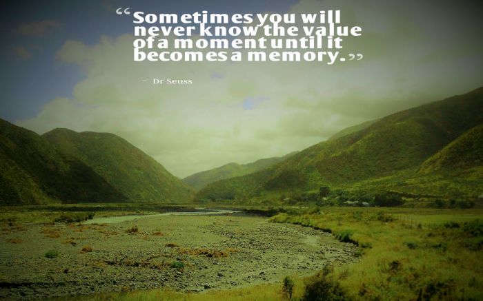 value of a moment