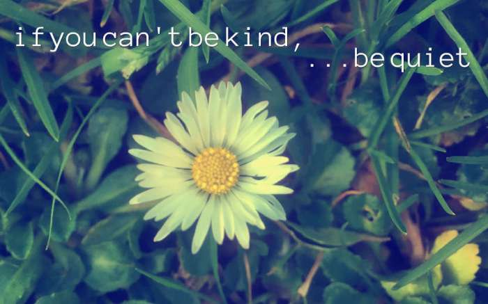 if-you-can-t-be-kind
