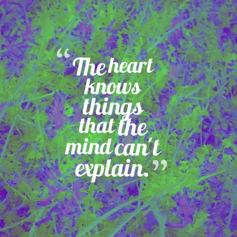 The-heart-knows-things
