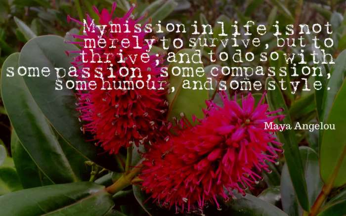 My-mission-in-life2