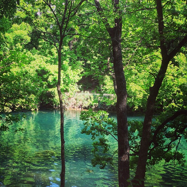 Barton Springs Pool in Austin, Texas