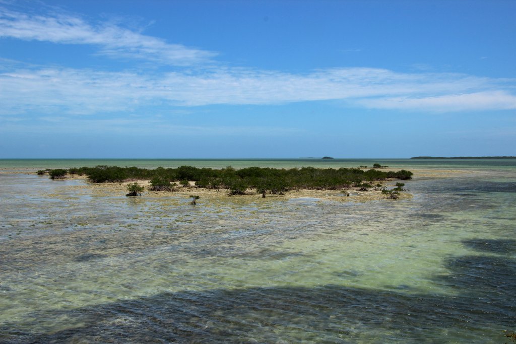 islets off Cayo Coco, Cuba