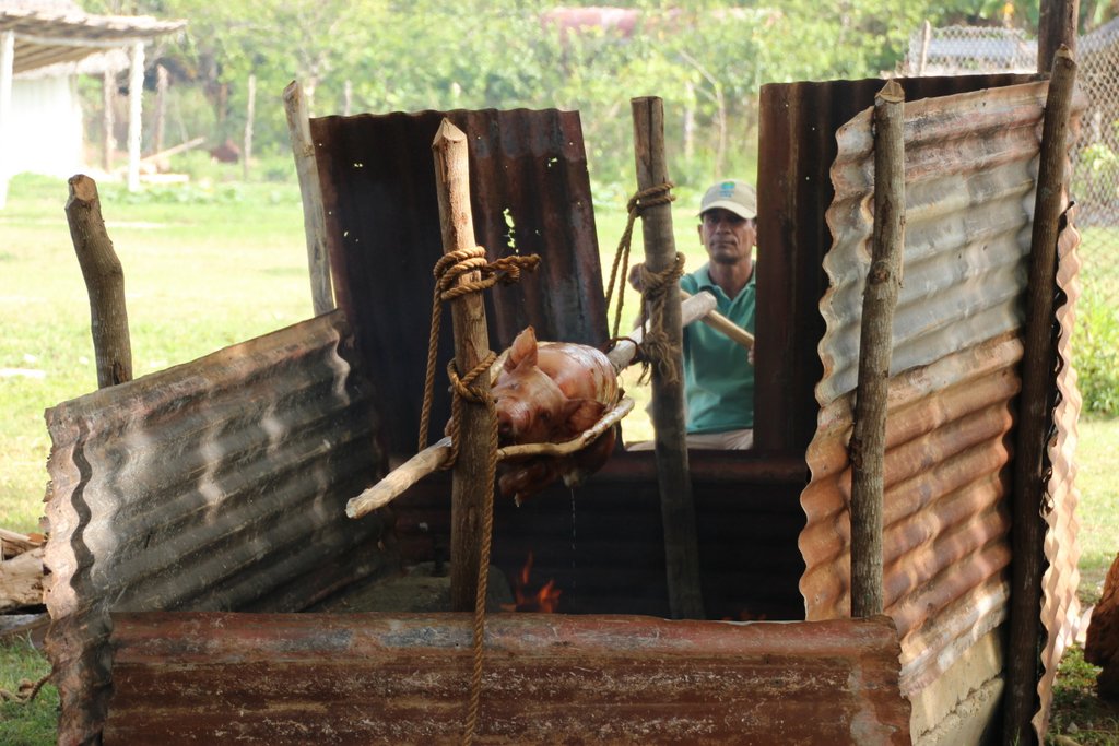 roasting a pig in Cuba