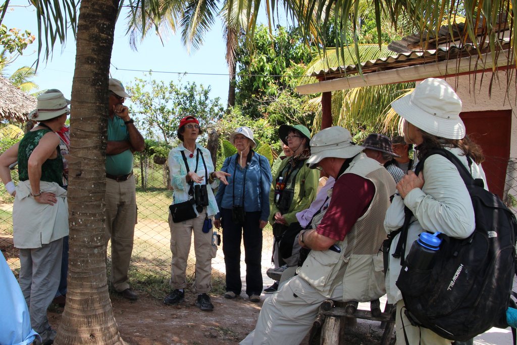 flamingo conservation at Rio Maximo