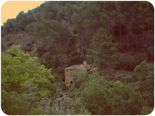 Shack in Catalonia