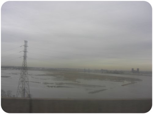 NJ marshes