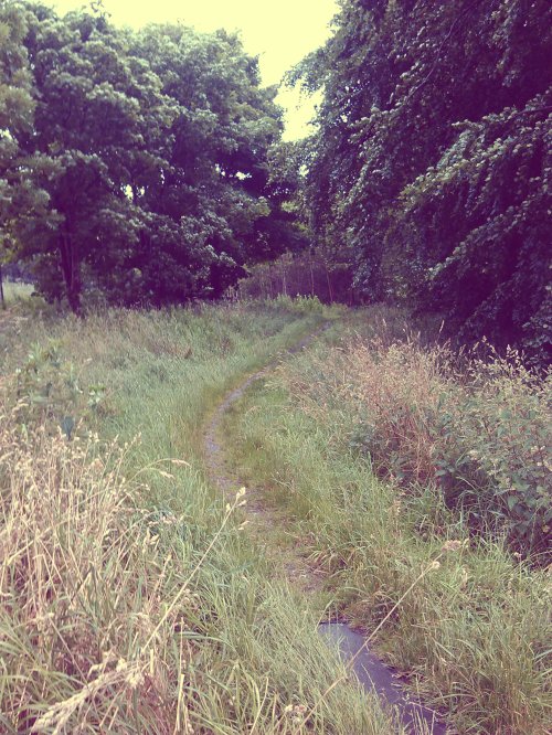 The rain is invisible, the camera lens a threshold, and standing at the foot of a path which appears to end and does not is also.