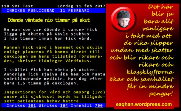 Dog pga sjukvårdsmiss.jpg