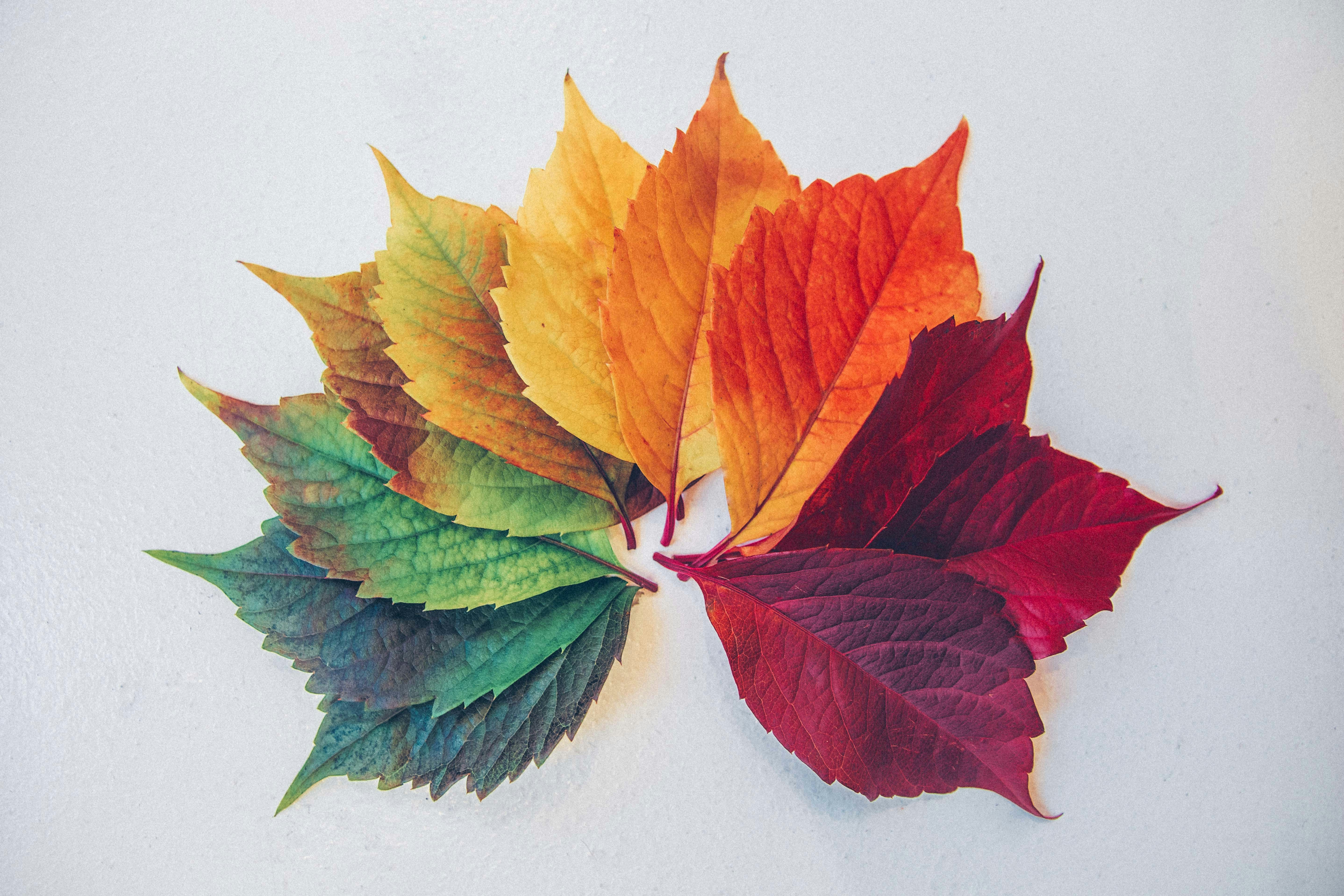 chris-lawton-c0rIh0nFTFU-unsplash