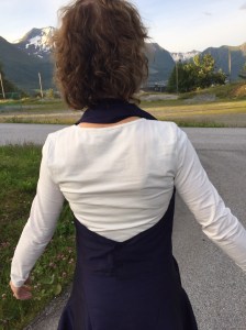 vest shapeshape2 bak