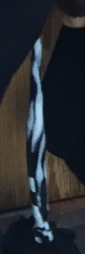 IMG_1954