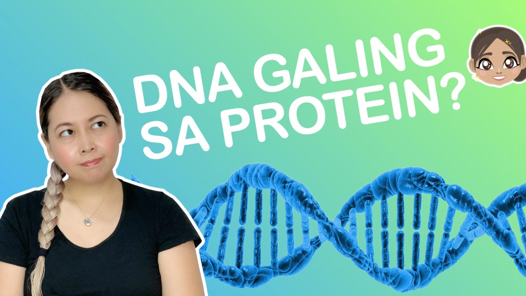 A New Way Life Makes DNA? Rethinking How We Teach Genetics