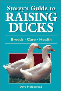 raisingducks