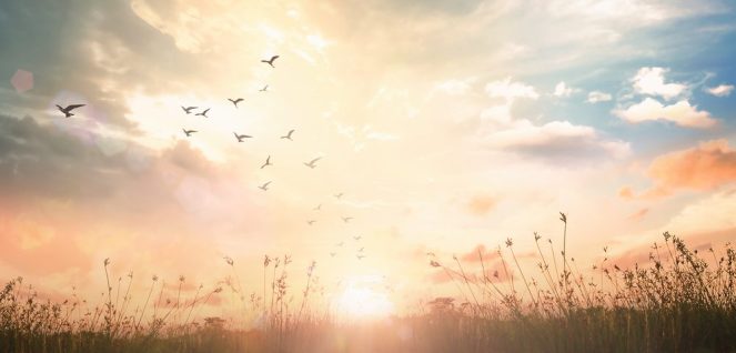 hopeful sunrise