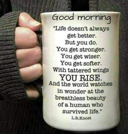 cup
