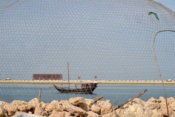 DSC_0602